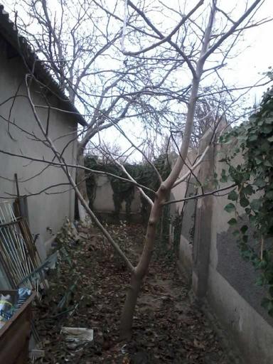 Будинок за адресою (площа 70 м²) - Atlanta.ua - фото 20