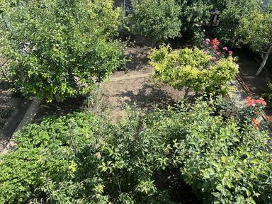 House by the address st. Sovetskaya (area 60 m²) - Atlanta.ua - photo 27