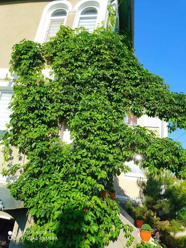 Будинок за адресою (площа 120 м²) - Atlanta.ua - фото 13