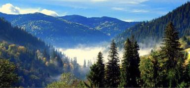 Дом по адресу Петефі Шандора пл. (площадь 75 м²) - Atlanta.ua - фото 27