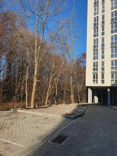 1-комнатная квартира по адресу ул. Володимира Великого (площадь 57 м²) - Atlanta.ua - фото 25