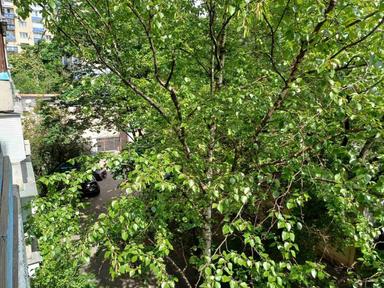 2-кімнатна квартира за адресою вул. Половецька (площа 48,3 м²) - Atlanta.ua - фото 43