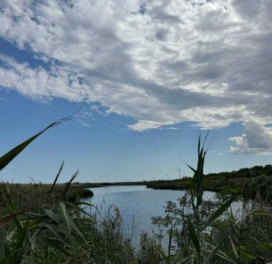 Будинок за адресою Люстдорфська дор. (площа 36 м²) - Atlanta.ua - фото 30