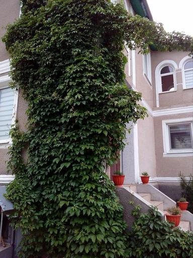 Будинок за адресою (площа 120 м²) - Atlanta.ua - фото 10