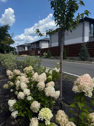 Дом по адресу (площадь 130 м²) - Atlanta.ua - фото 28