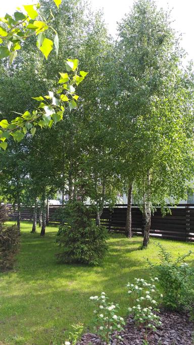 2-кімнатна квартира за адресою (площа 50,1 м²) - Atlanta.ua - фото 28