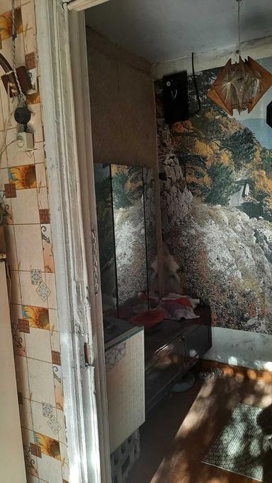 House by the address (area 31 m²) - Atlanta.ua - photo 19