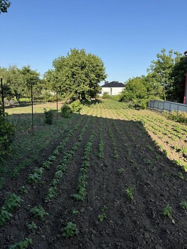 Будинок за адресою вул. Капеланська (площа 160 м²) - Atlanta.ua - фото 8