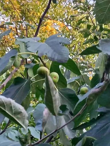 Дом по адресу ул. Загорская (площадь 110 м²) - Atlanta.ua - фото 37