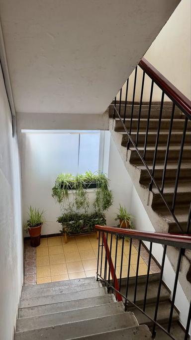 1-кімнатна квартира за адресою (площа 52 м²) - Atlanta.ua - фото 37