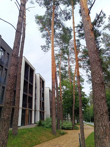 1-комнатная квартира по адресу ул. Оппокова Академика (площадь 46,4 м²) - Atlanta.ua - фото 25