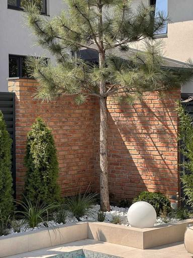 Дом по адресу ул. Макаренко (площадь 235 м²) - Atlanta.ua - фото 45