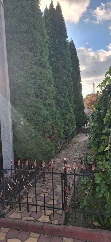 Дом по адресу ул. Бандеры Степана (площадь 130 м²) - Atlanta.ua - фото 31