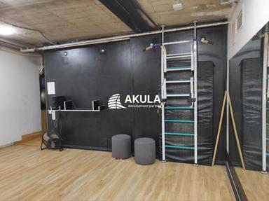 Комерційна нерухомість за адресою вул. Межигірська (площа 297 м²) - Atlanta.ua - фото 44