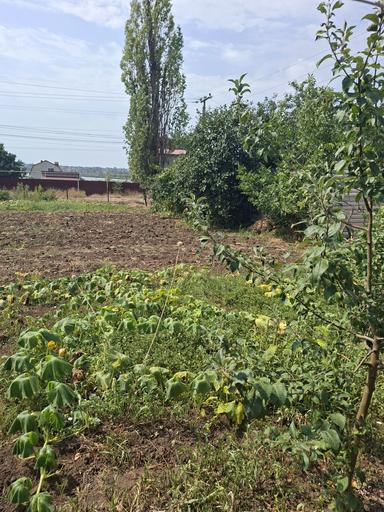 Дом по адресу Люстдорфская дор. (площадь 90 м²) - Atlanta.ua - фото 12