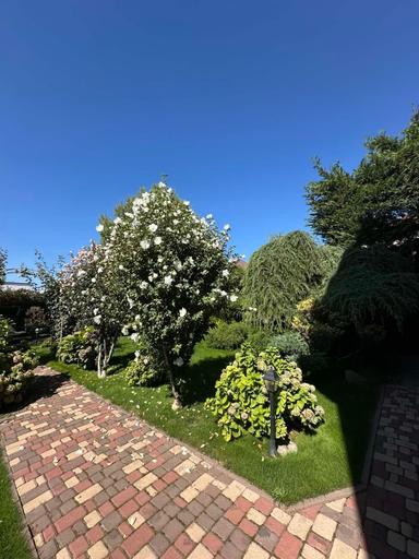 Дом по адресу ул. Спортивная (площадь 400 м²) - Atlanta.ua - фото 44