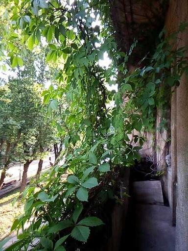 Многокомнатная квартира по адресу ул. Бандеры С. Ул (площадь 117 м²) - Atlanta.ua - фото 34