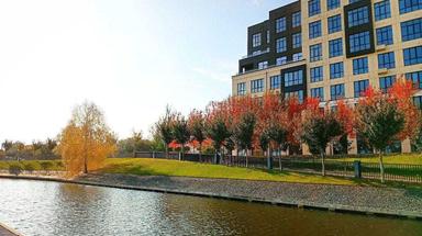 Комерційна нерухомість за адресою (площа 80,6 м²) - Atlanta.ua - фото 21