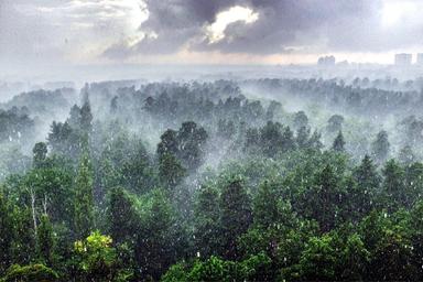 3-rooms apartment apartment by the address st. Anatoliya Petritskogo (area 93,7 m²) - Atlanta.ua - photo 29