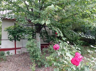 Будинок за адресою вул. Вижницька (площа 28 м²) - Atlanta.ua - фото 16