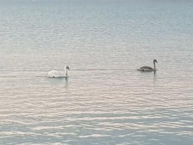 Дом по адресу (площадь 277 м²) - Atlanta.ua - фото 36