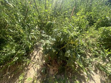 Будинок за адресою вул. Богдана Хмельницького (площа 95 м²) - Atlanta.ua - фото 30