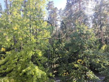 1-комнатная квартира по адресу ул. Лукьяненко Левка(Тимошенко) (площадь 37 м²) - Atlanta.ua - фото 30