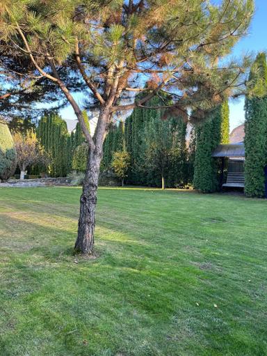 Дом по адресу (площадь 340 м²) - Atlanta.ua - фото 27