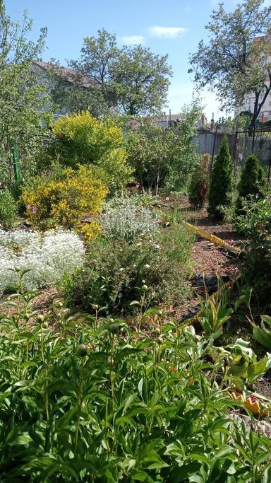 Будинок за адресою вул. Танкістів (площа 40 м²) - Atlanta.ua - фото 17