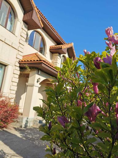 Будинок за адресою вул. Перемоги (площа 258 м²) - Atlanta.ua - фото 27