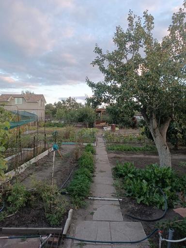 House by the address (area 80 m²) - Atlanta.ua - photo 16