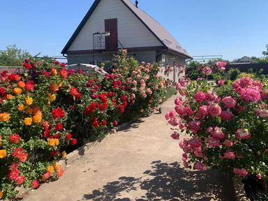 House by the address st. Lyustdorfskaya dor Chernomorskaya dor (area 98 m²) - Atlanta.ua - photo 33