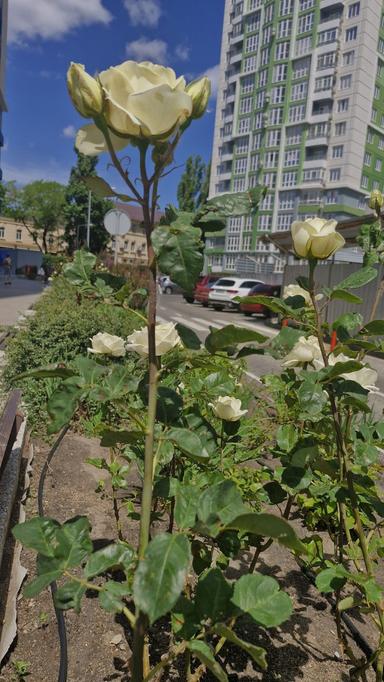 3-rooms apartment apartment by the address (area 100 m²) - Atlanta.ua - photo 45