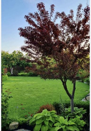 Дом по адресу ул. Приморская (площадь 80 м²) - Atlanta.ua - фото 48