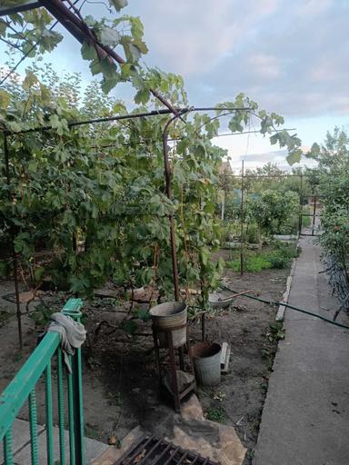 House by the address (area 80 m²) - Atlanta.ua - photo 19