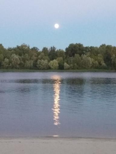 Дом по адресу ул. Лукьяненко Левка(Тимошенко) (площадь 60 м²) - Atlanta.ua - фото 19