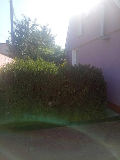 Дом по адресу ул. Бандеры Степана (площадь 65 м²) - Atlanta.ua - фото 22