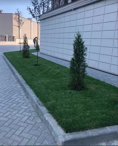 2-комнатная квартира по адресу ул. Дача Ковалевского (площадь 64 м²) - Atlanta.ua - фото 22