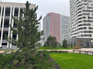 1-кімнатна квартира за адресою (площа 44 м²) - Atlanta.ua - фото 36