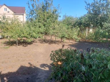 House by the address st. Primorskaya (area 50 m²) - Atlanta.ua - photo 21