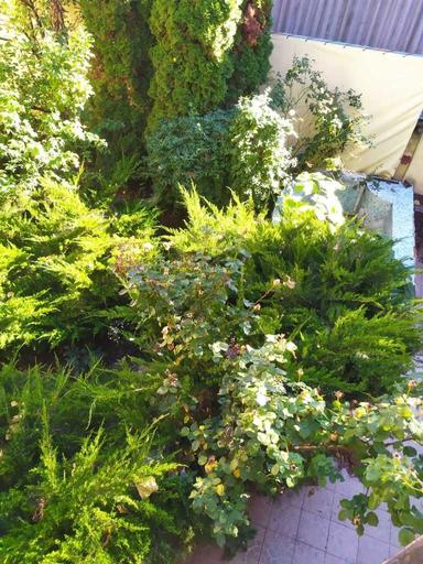 Дом по адресу ул. Макаренко (площадь 195 м²) - Atlanta.ua - фото 36