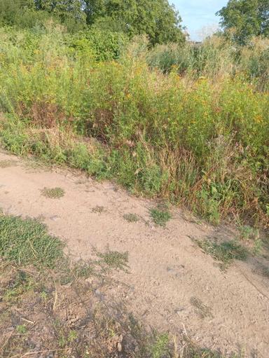 Дом по адресу ул. Добробутна (площадь 36 м²) - Atlanta.ua - фото 24