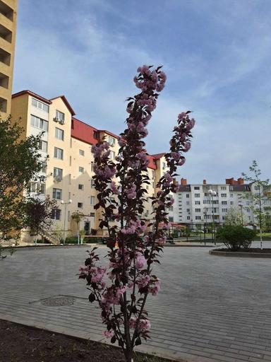 2-кімнатна квартира за адресою просп. Голосіївський (площа 47 м²) - Atlanta.ua - фото 25