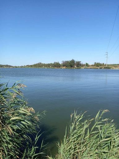 Будинок за адресою вул. Кудряшова (площа 176 м²) - Atlanta.ua - фото 13