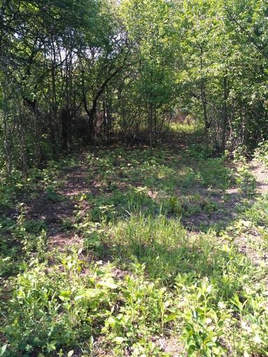 Дом по адресу Петефі Шандора пл. (площадь 70 м²) - Atlanta.ua - фото 16