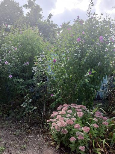 Дом по адресу (площадь 60 м²) - Atlanta.ua - фото 16