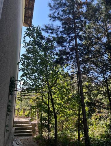 Будинок за адресою вул. Санаторна (площа 254 м²) - Atlanta.ua - фото 29