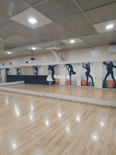 Комерційна нерухомість за адресою вул. Межигірська (площа 297 м²) - Atlanta.ua - фото 35