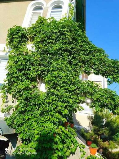 Дом по адресу ул. 21 км. Старокиевской дороги (площадь 120 м²) - Atlanta.ua - фото 16