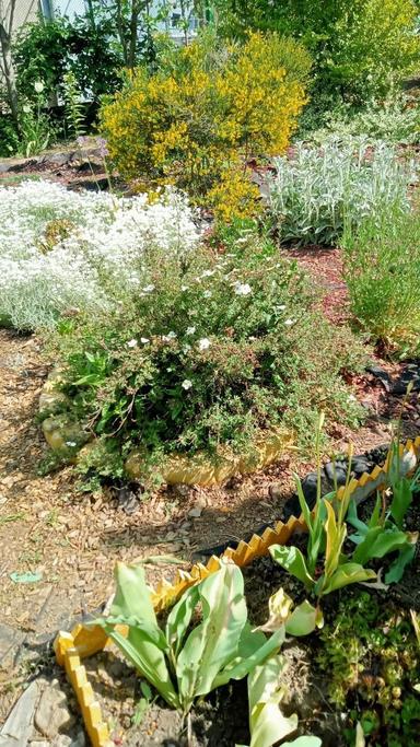 Будинок за адресою вул. Танкістів (площа 40 м²) - Atlanta.ua - фото 18